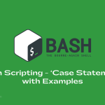 bash scripting how to use case statements with examples